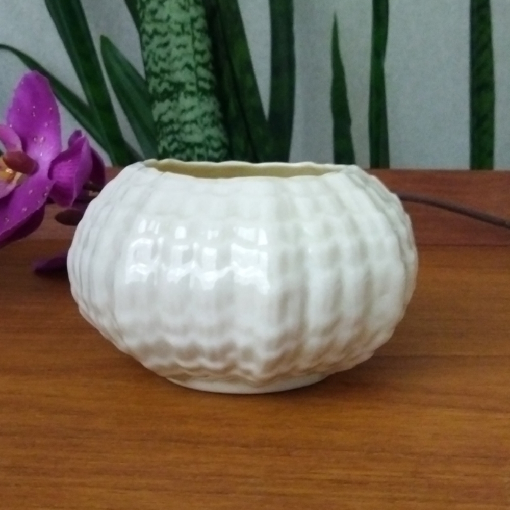 BELLEEK Tridacna Open Sugar Trinket